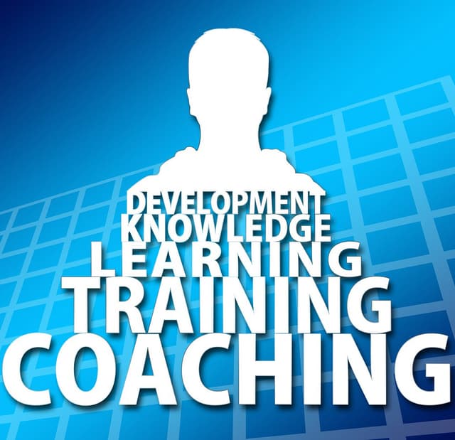 Wellness coaching session